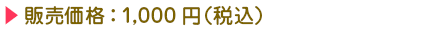 販売価格：1,000円（税込）