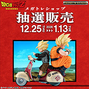 メガトレショップで抽選販売を実施中！