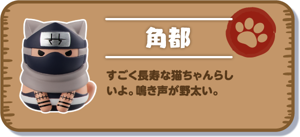 【角都】すごく長寿な猫ちゃんらしいよ。鳴き声が野太い。